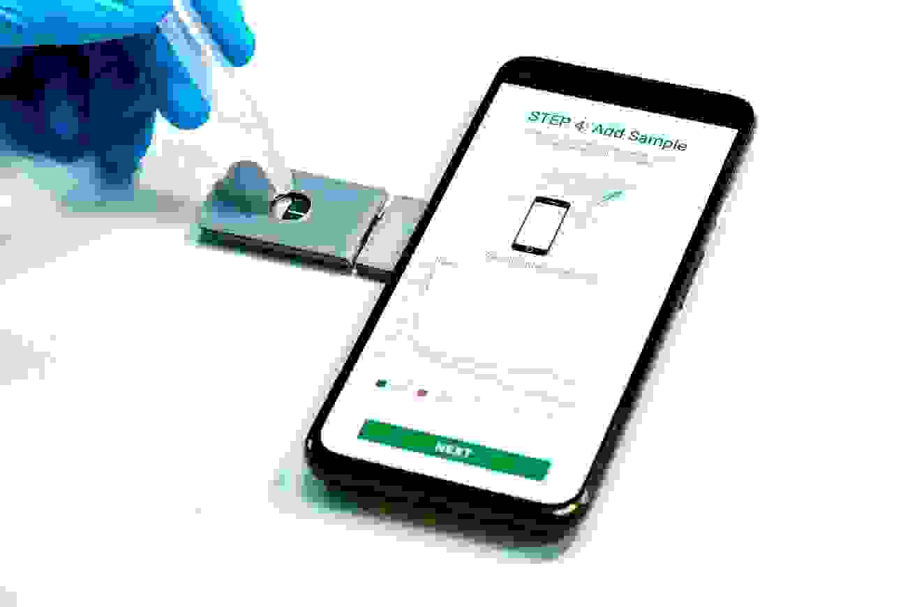 TestNPass by Grapheal